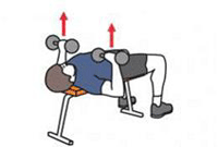 A person is performing a Dumbbell Bench Press.