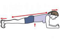 A person is performing a Front Plank.